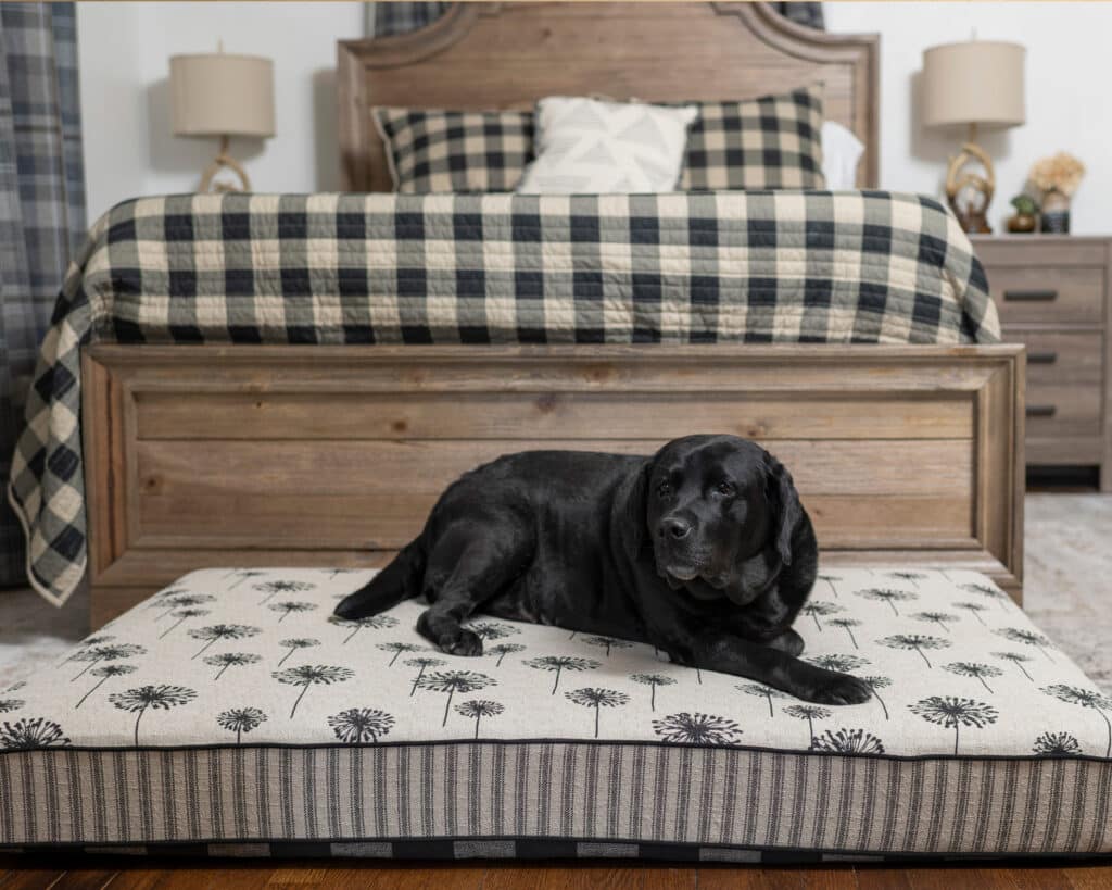 x-large foam dog bed