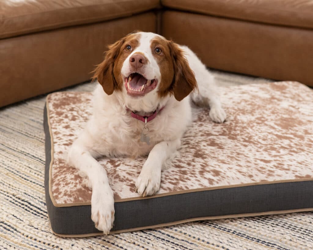 Orthopedic Memory Faom Dog Bed Cushion with faux cowhide