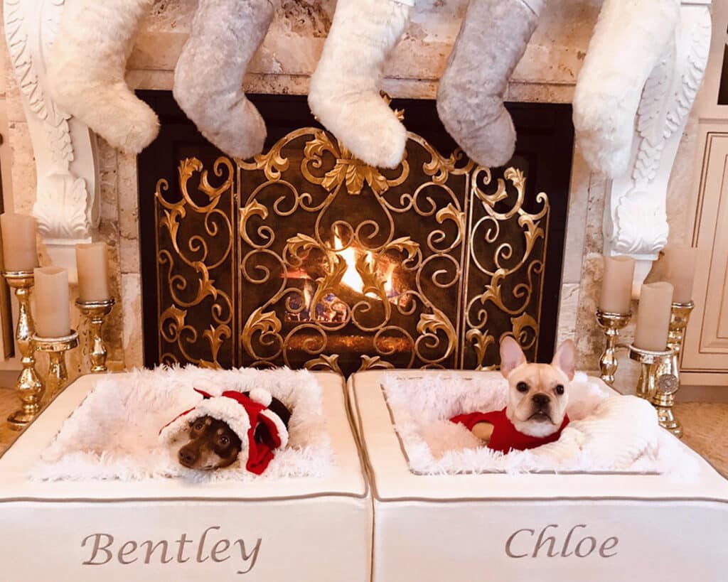 cozy christmas dog beds personalized