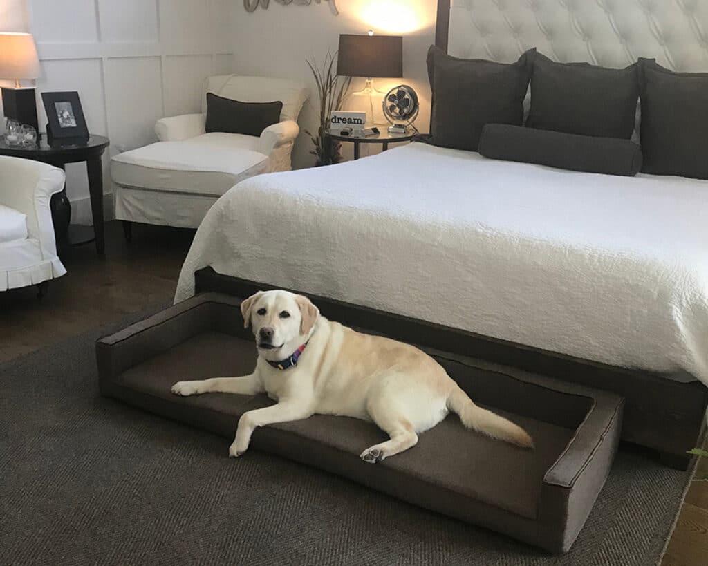 custom size dog bed with sides COM Customer Own Material
