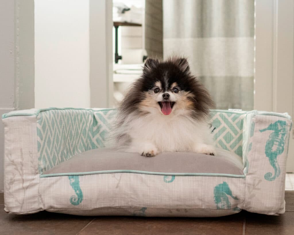 coastal dog bed with sides
