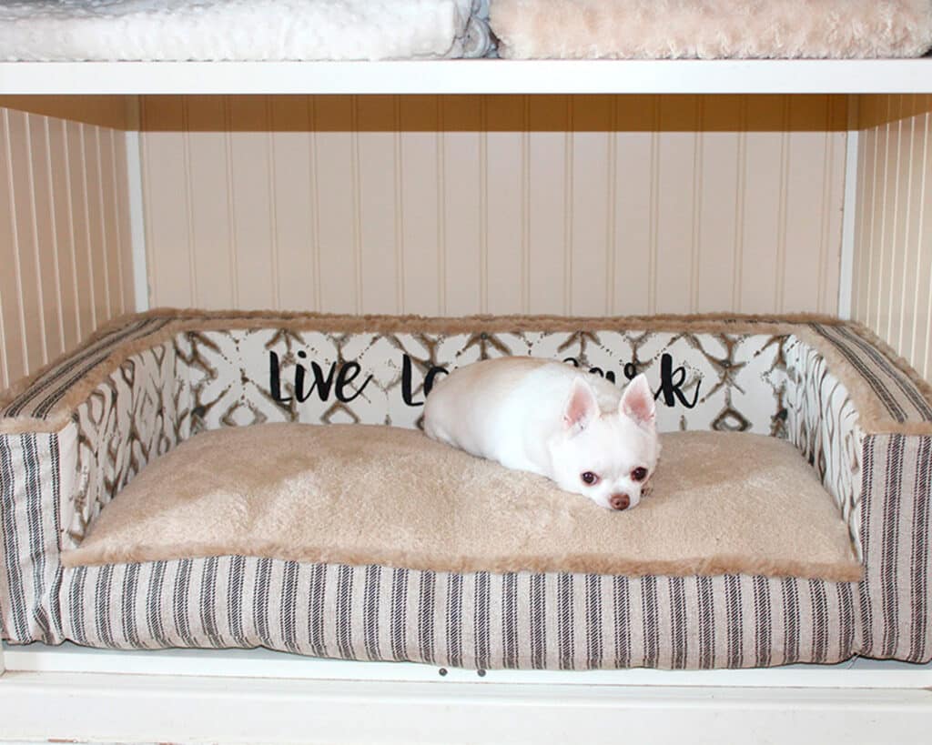 personalized custom size edgy dog bed