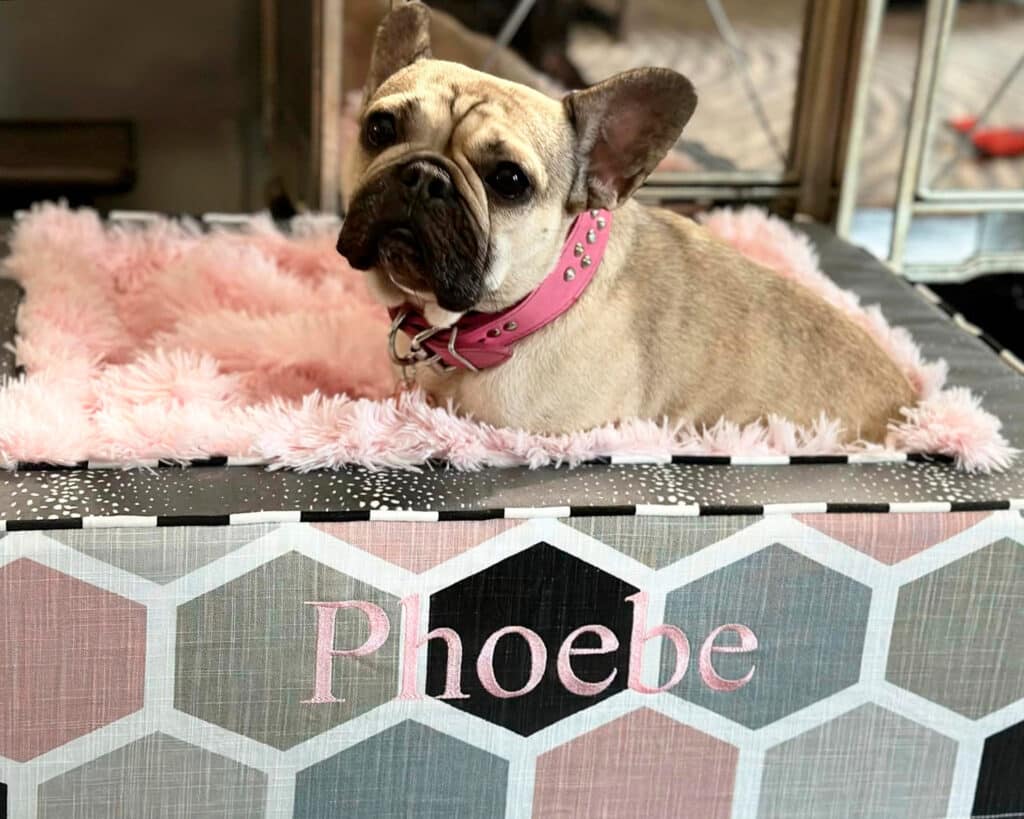 pink girly dog bed luxury