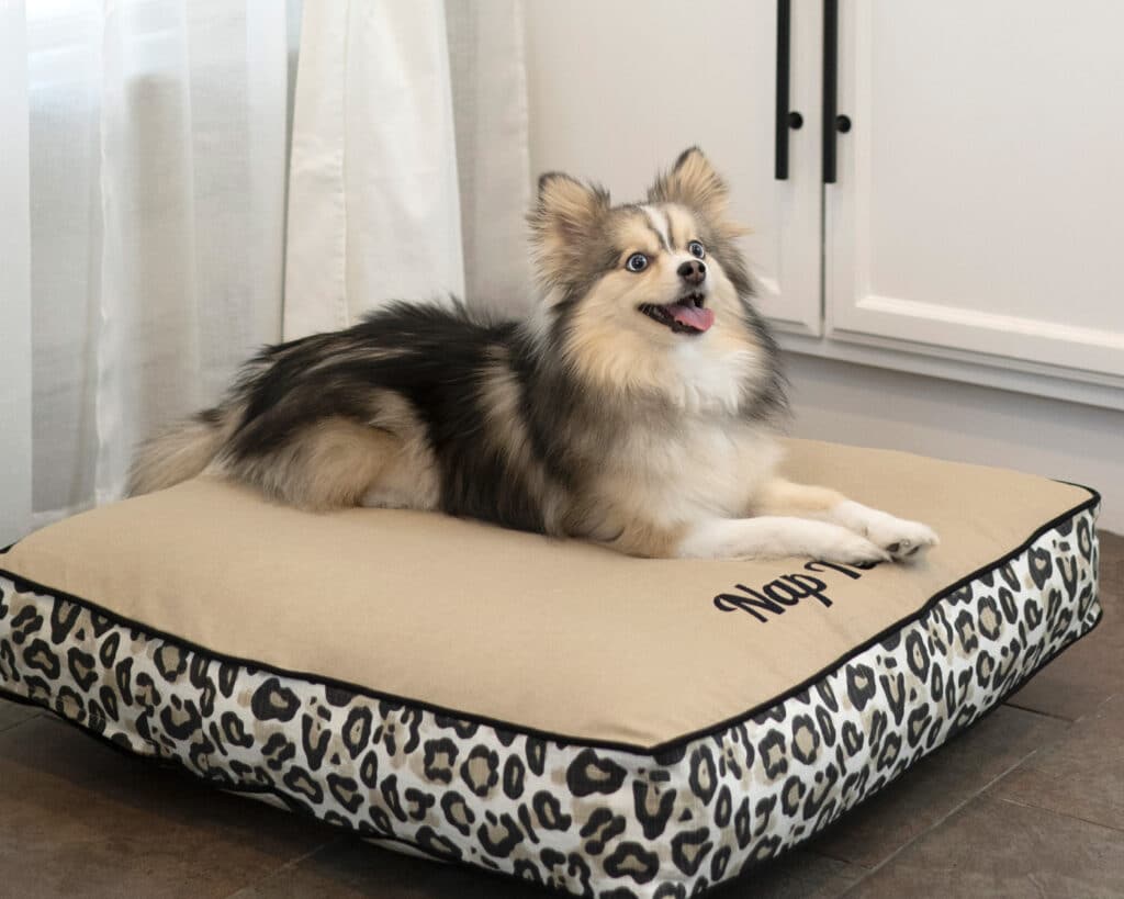 square medium dog bed leopard