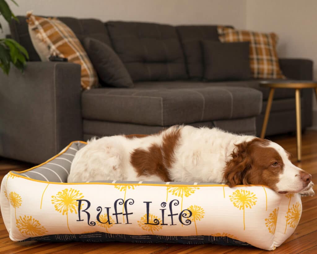 cozy cuddle dog bed brittany