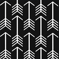 Arrow Black/White