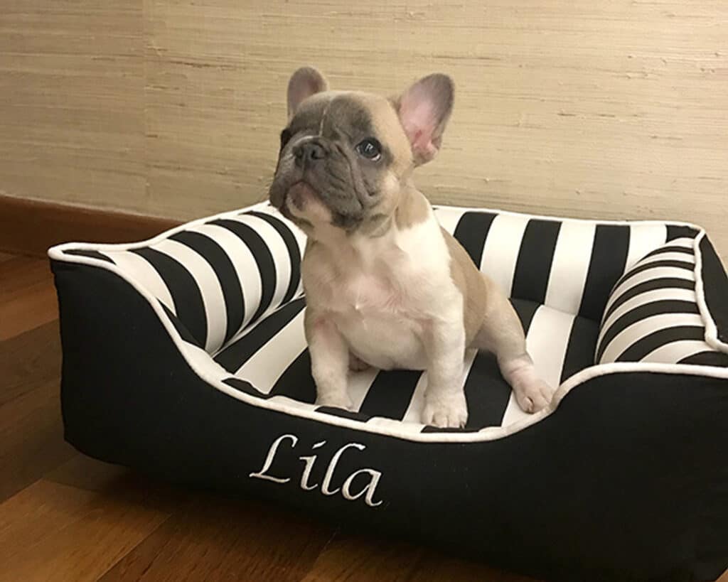 black white dog bed with name