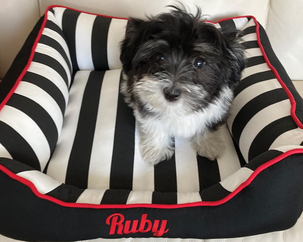 black white red custom dog bed