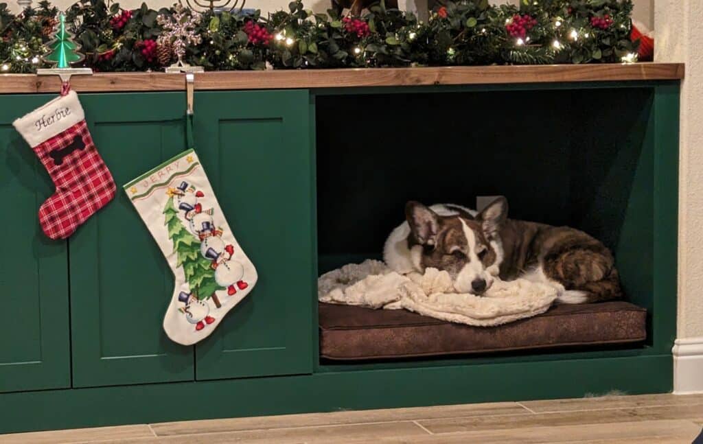 round dog bed